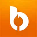 Bonfyre logo