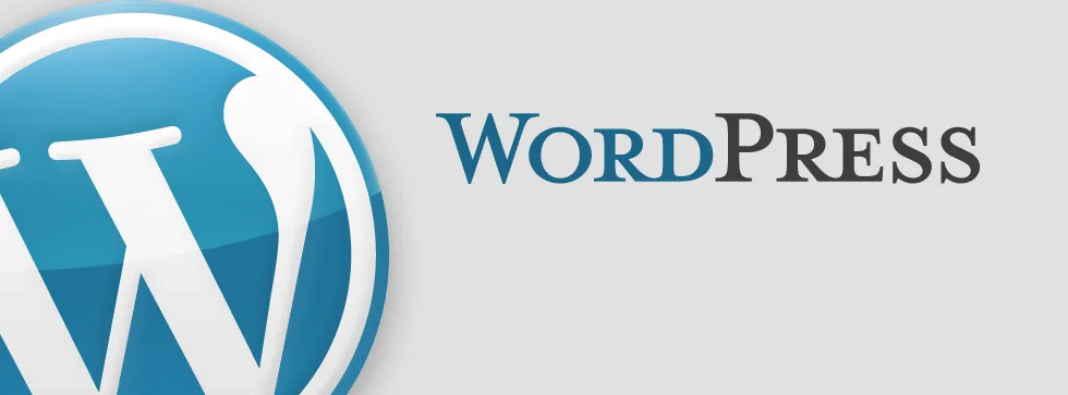 WordPress — Powers 28% of the internet