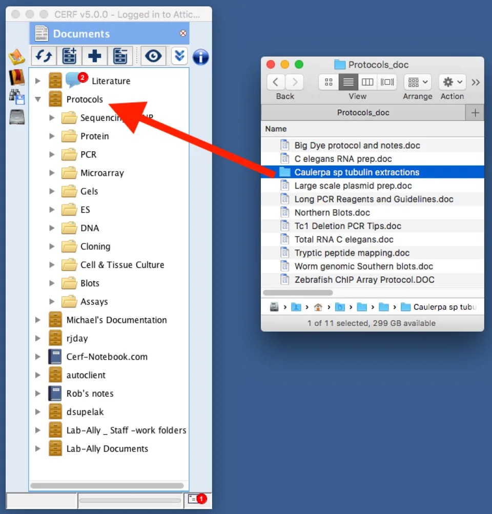 CERF — Screenshots 1