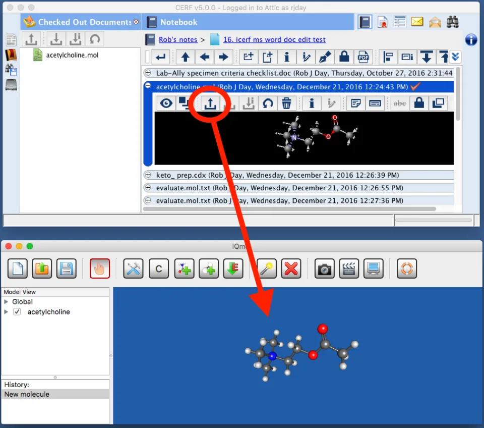 CERF — Screenshots 2