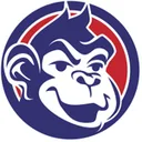 ChannelApe logo