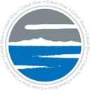 Cobalt Silver logo