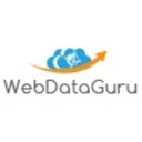 Data Extraction logo