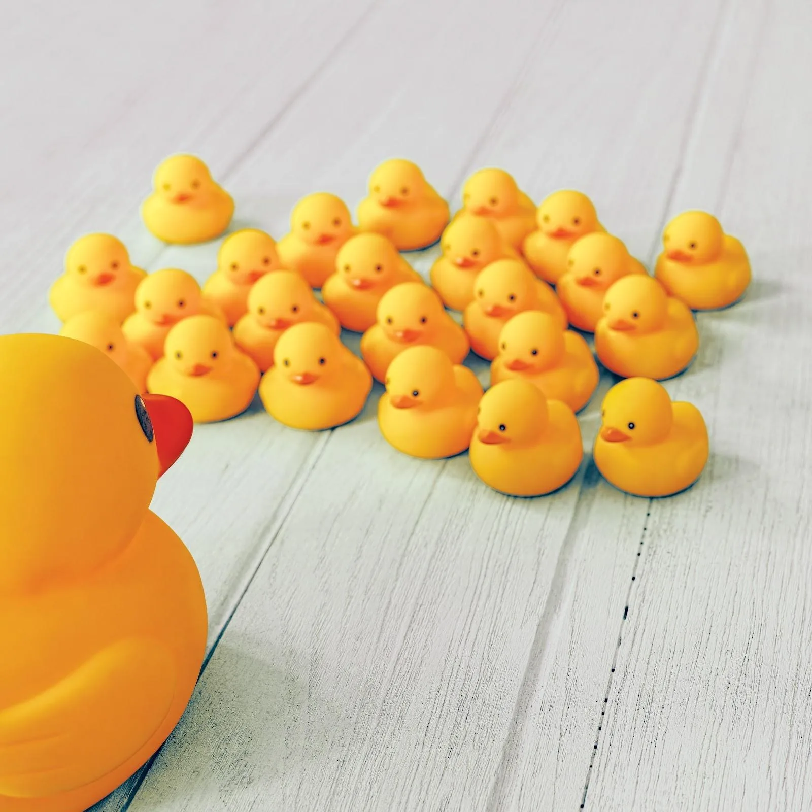 Digitaleo — Boost Your Campaigns with Dynamic Communication Software