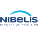 Nibelis logo