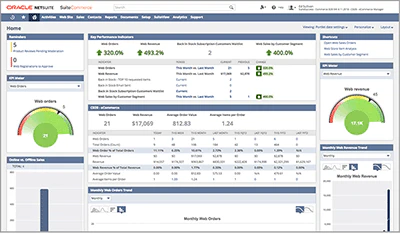 Oracle Netsuite ERP ©