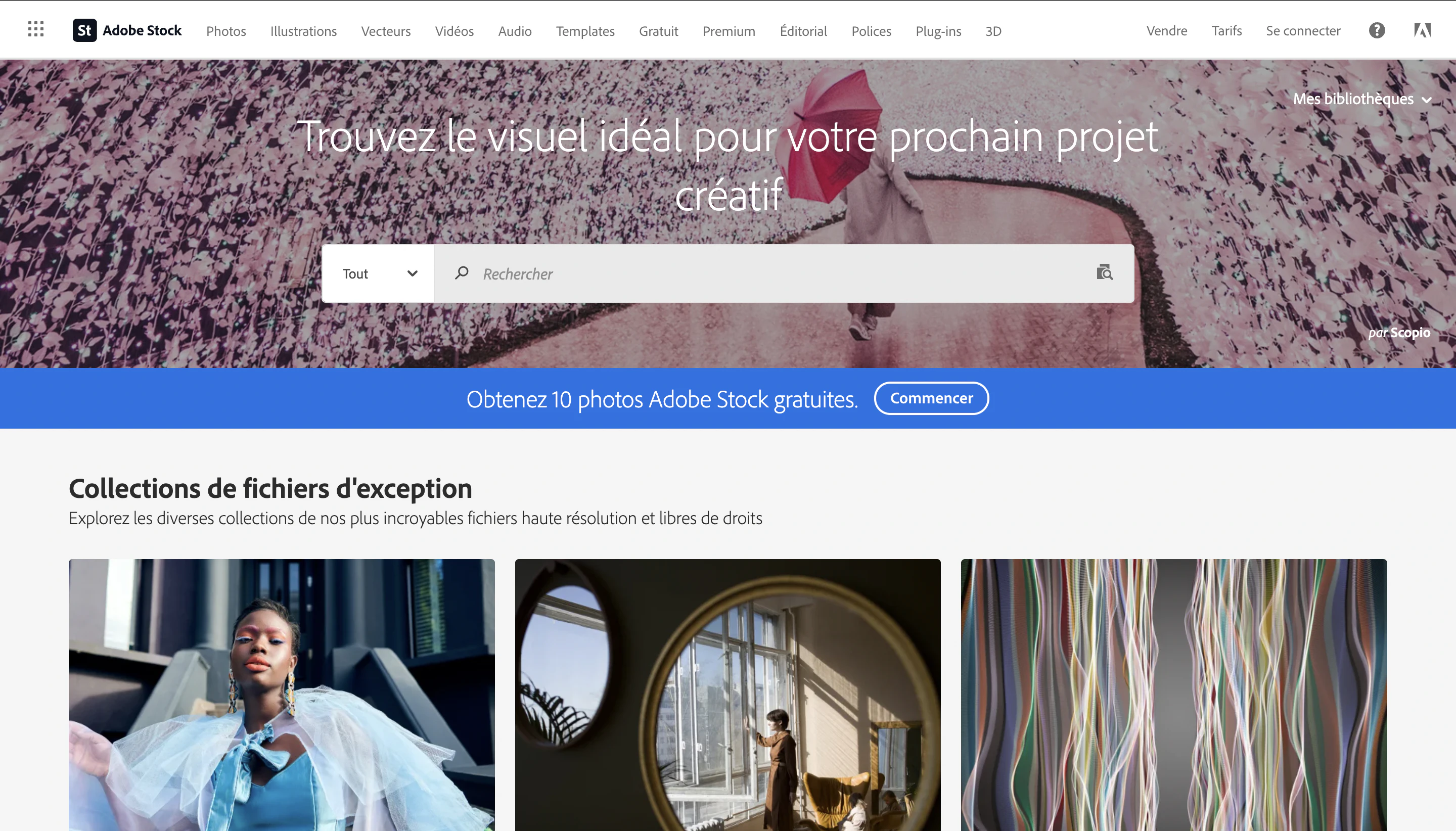 © Adobe Stock