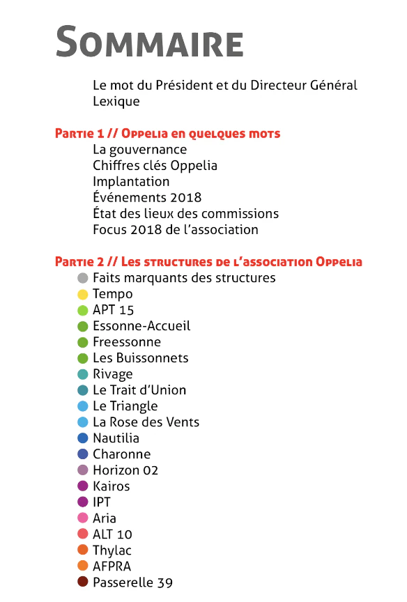Exemple de sommaire de rapport d’activité de l’association @Oppelia