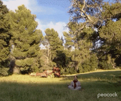 zen gif