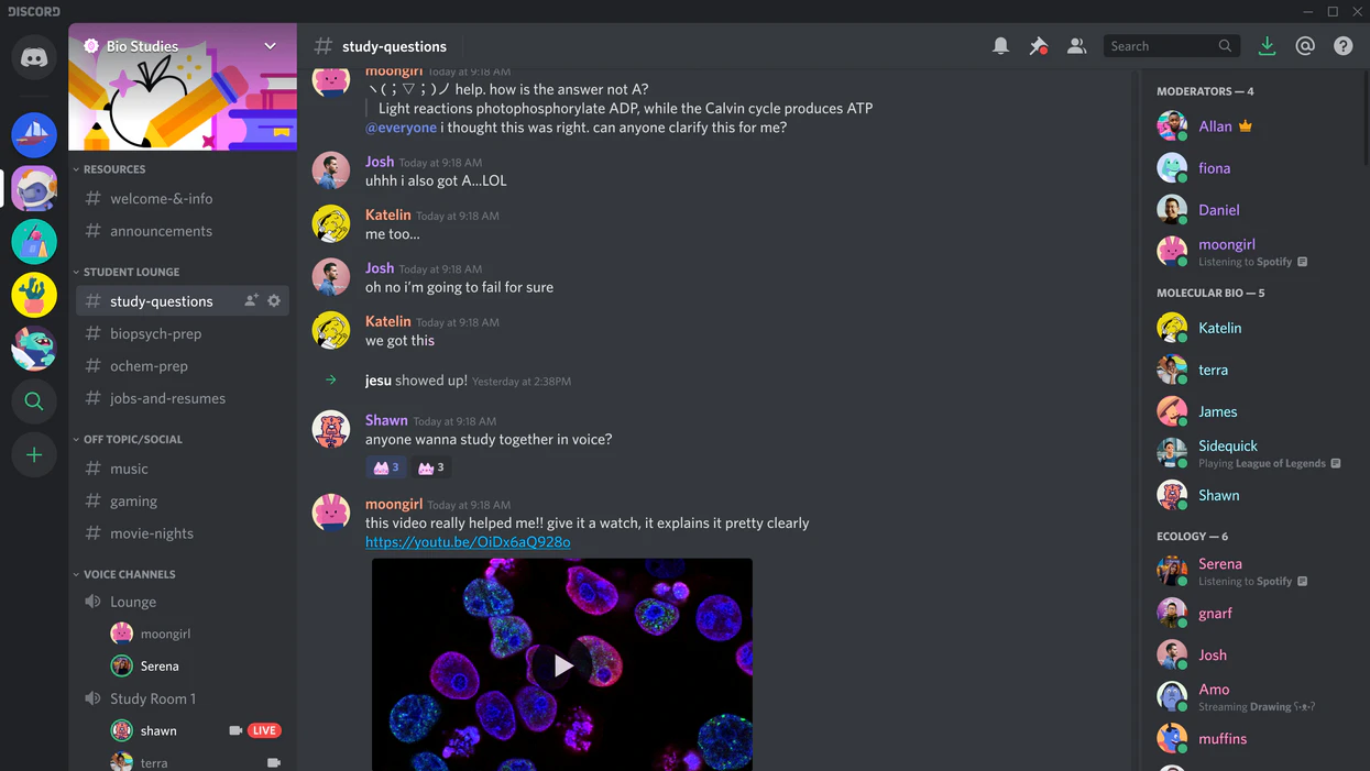 © Discord