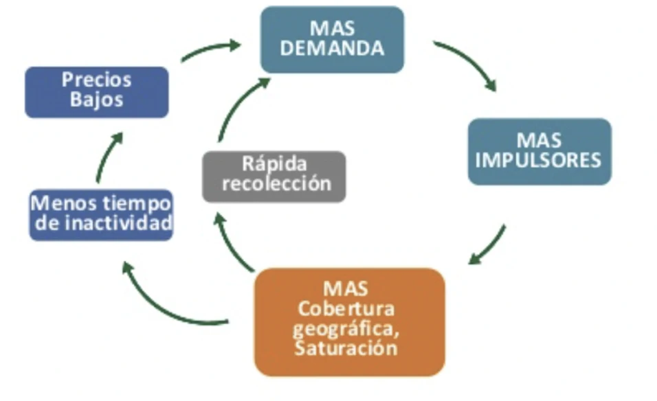 Efecto de red
