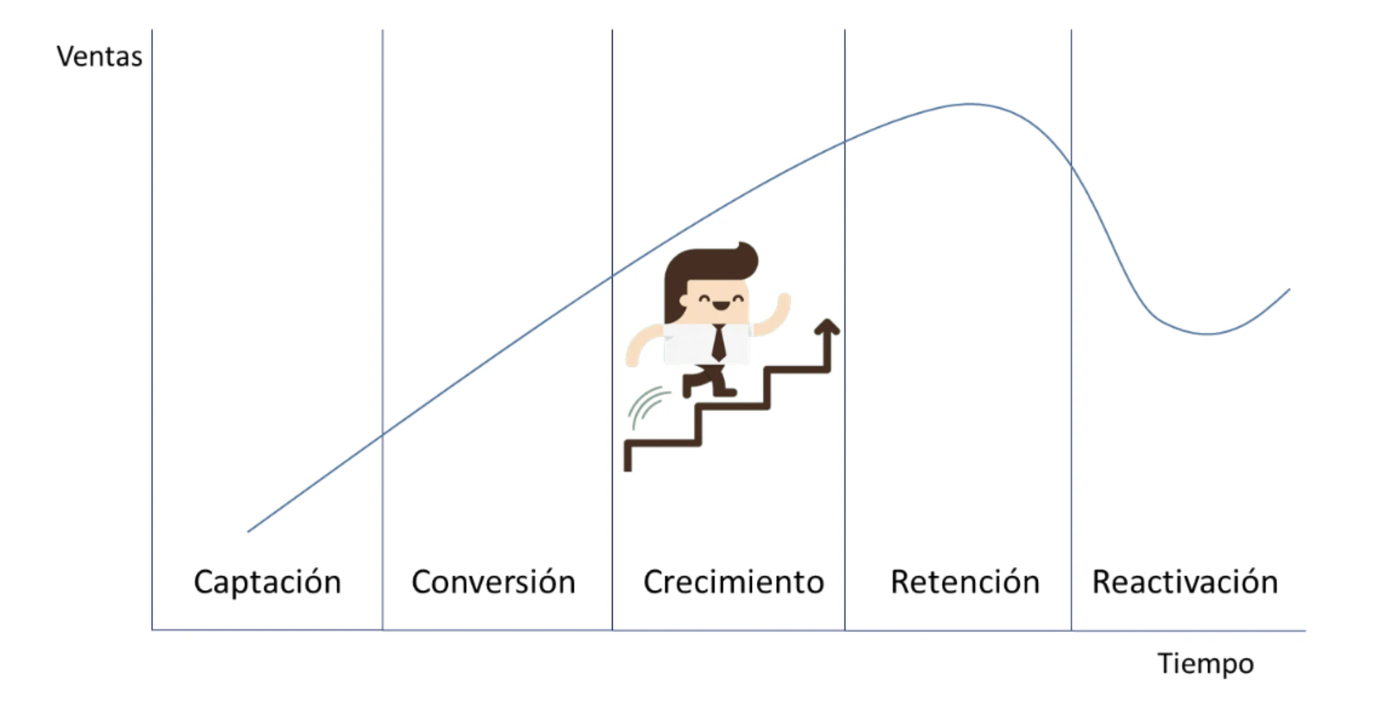 ciclo-de-vida-del-cliente-fases
