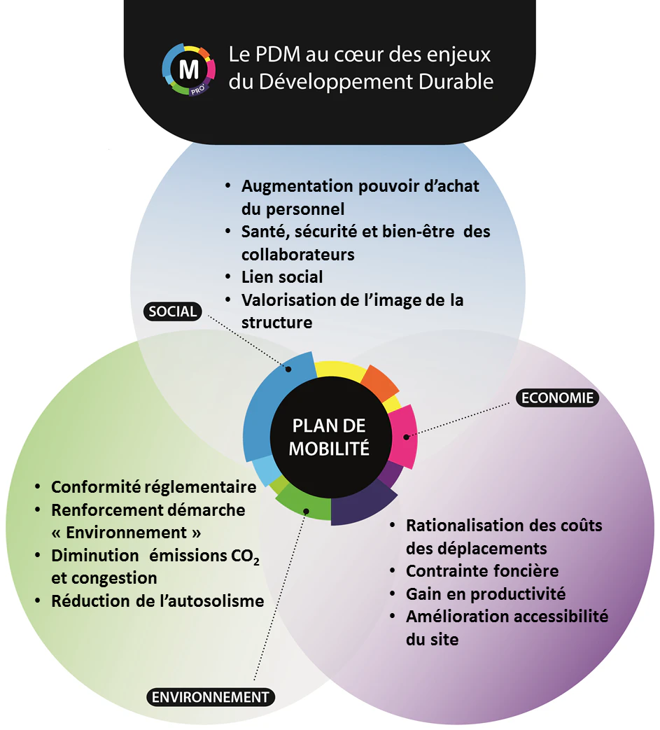 © M Mobilités