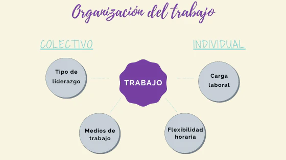 como-se-organiza-el-trabajo