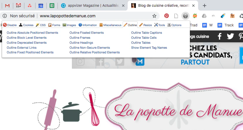 Outil SEO gratuit : le plugin web developer toolbar