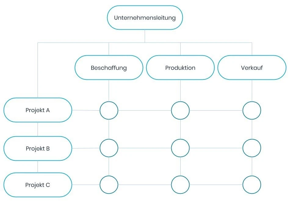 Matrixorganisation Schema