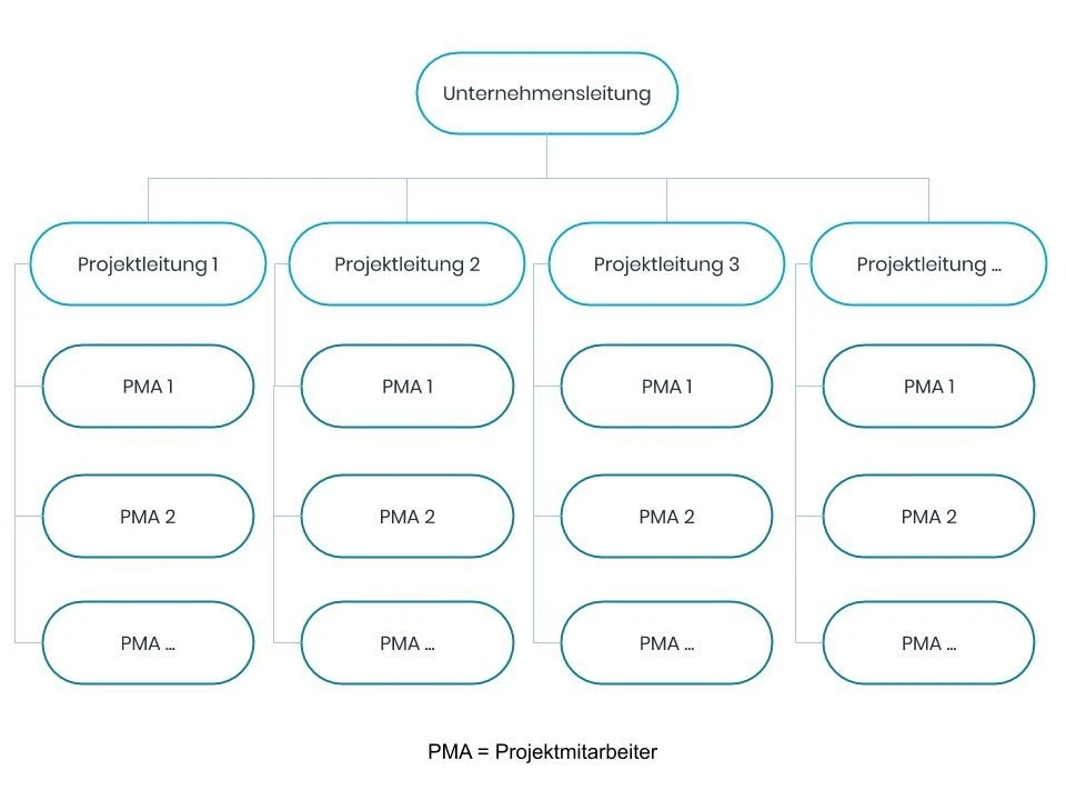 Reine Projektorganisation Schema