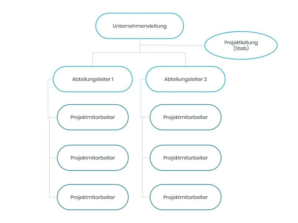 Stablinienorganisation Schema