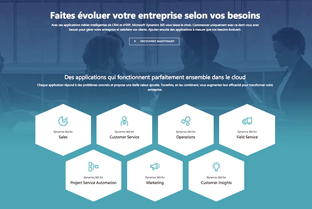 Microsoft Dynamics CRM