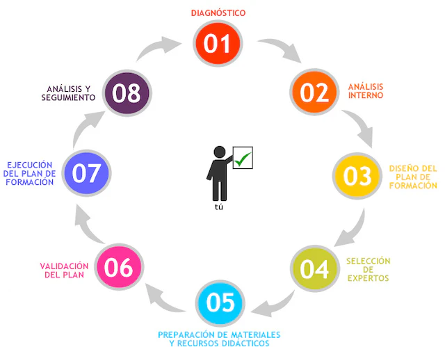 etapas-plan-de-formacion