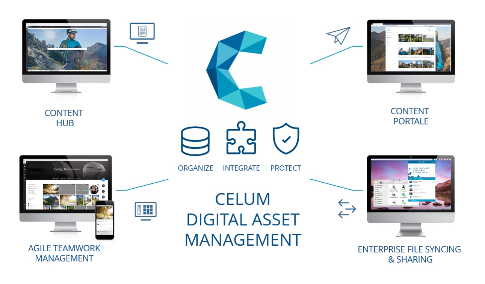 software-dam-celum