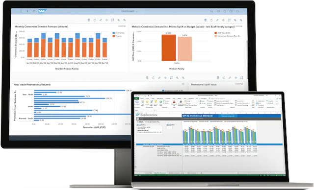 inteligencia-empresarial-sap