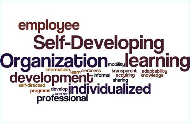 Nuage de tags sur le Self Developing Organization