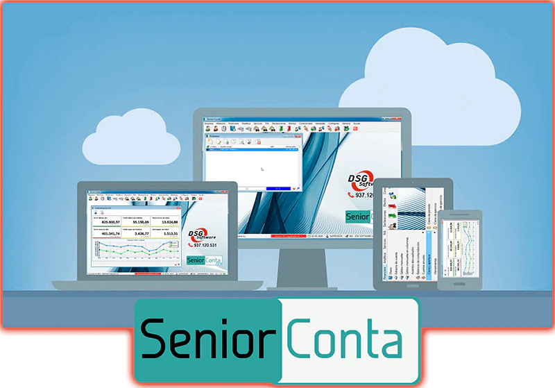 © DSG Software