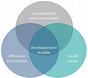 © Réseau entreprise et développement durable