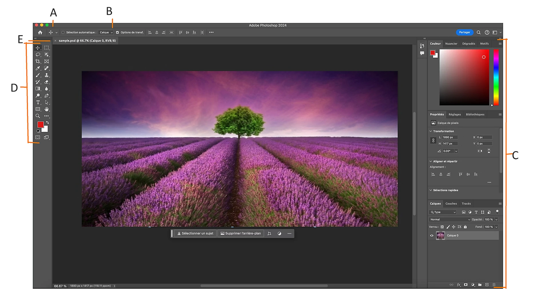 © Adobe Support